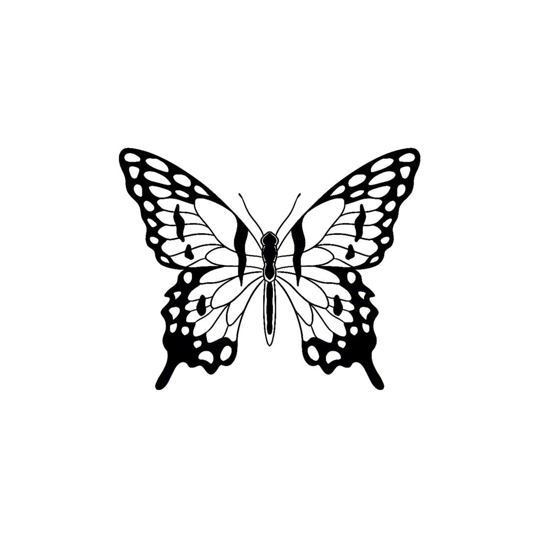 Black Butterfly