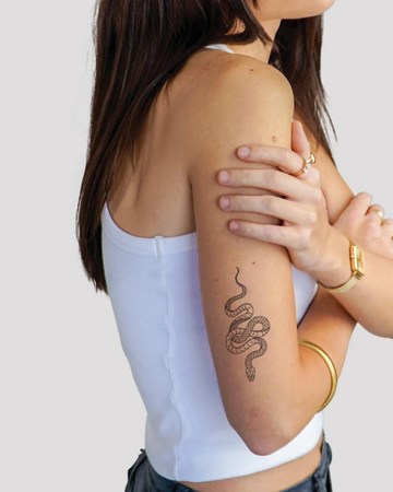 Serpent: Coiled Wisdom