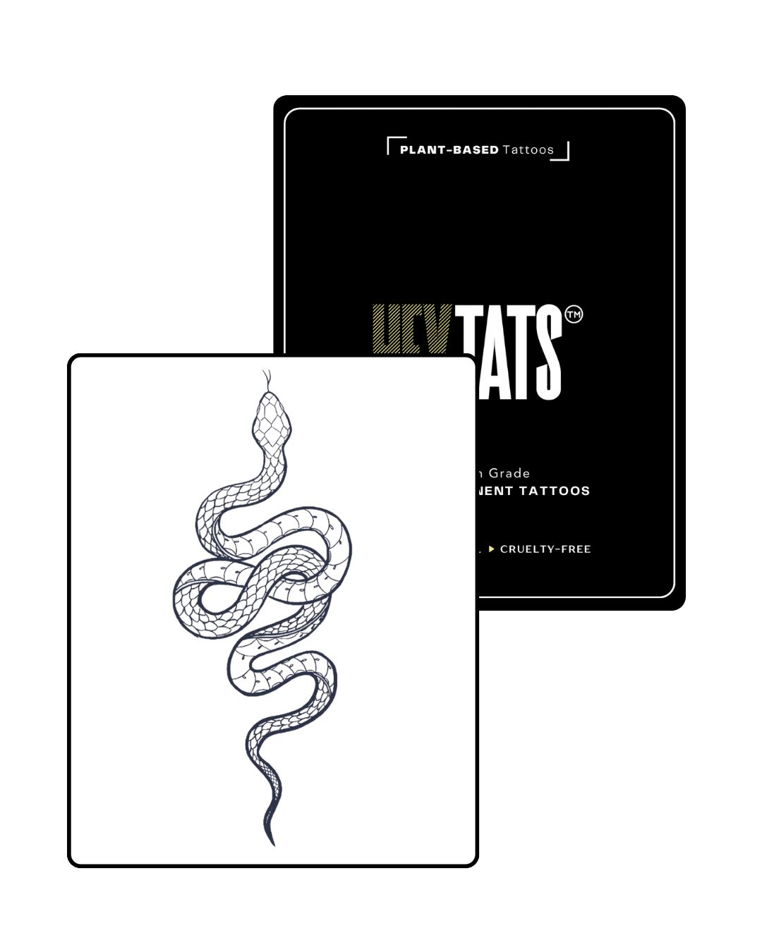 Serpent: Coiled Wisdom — Semi-Permanent Tattoo