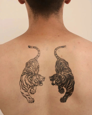 Twin Tigers: Duality