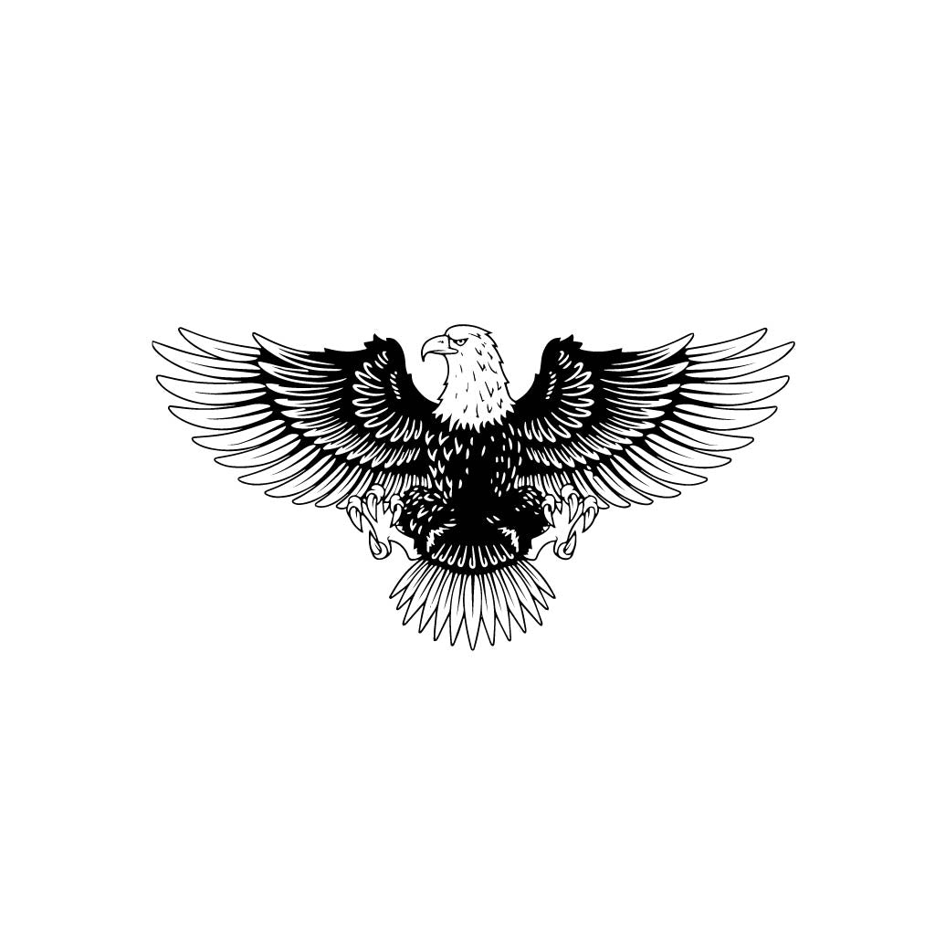 EAGLE LANDING