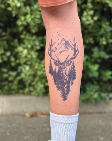 The Wild: Stag & Forest